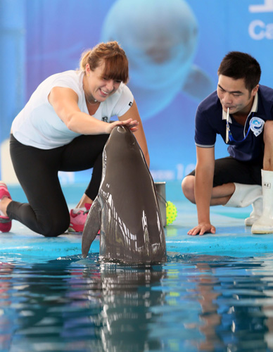 十分明显 十分明显